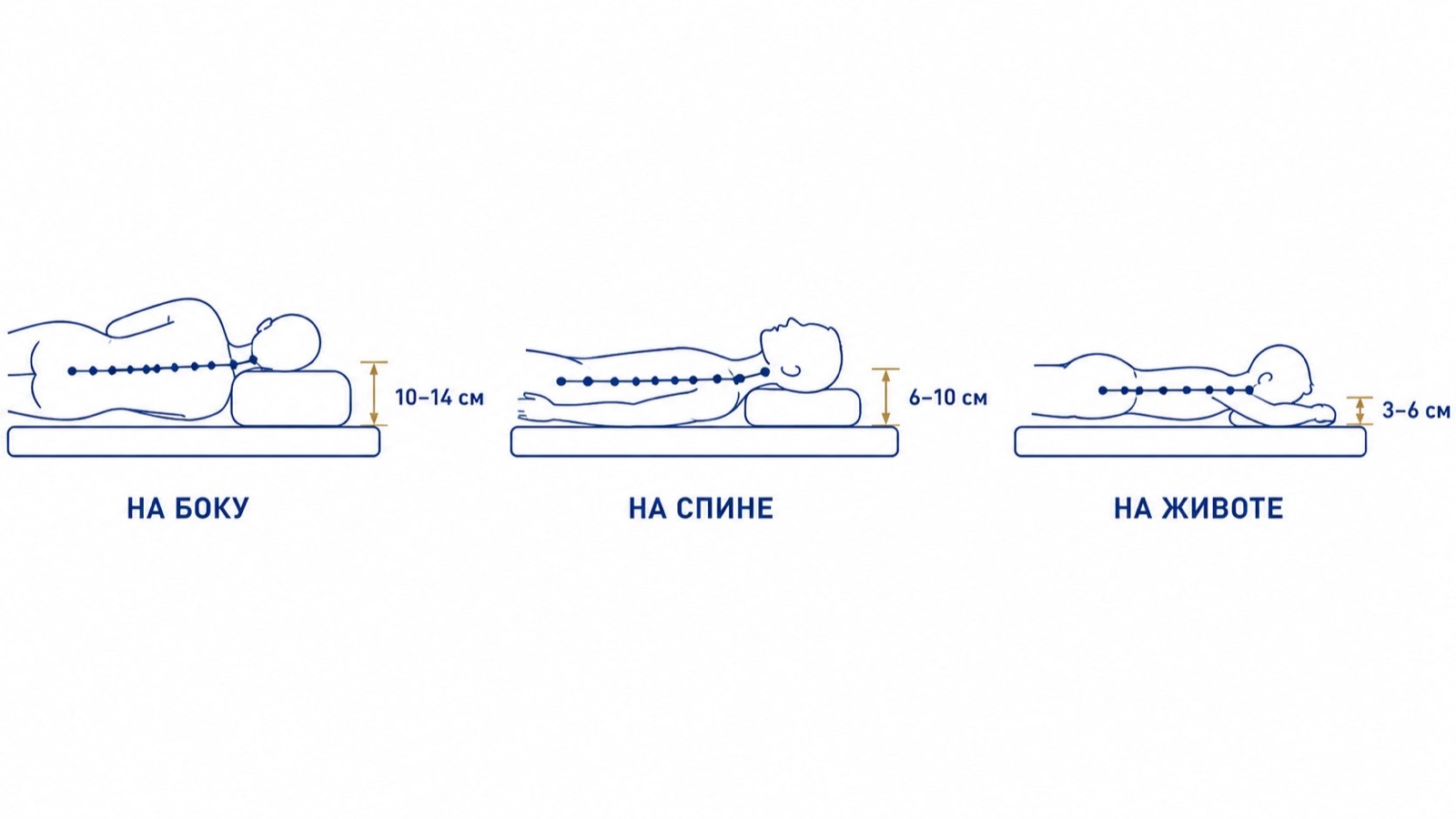 Схема: высота подушки для сна на боку 10-14 см, на спине 6-10 см, на животе 3-6 см