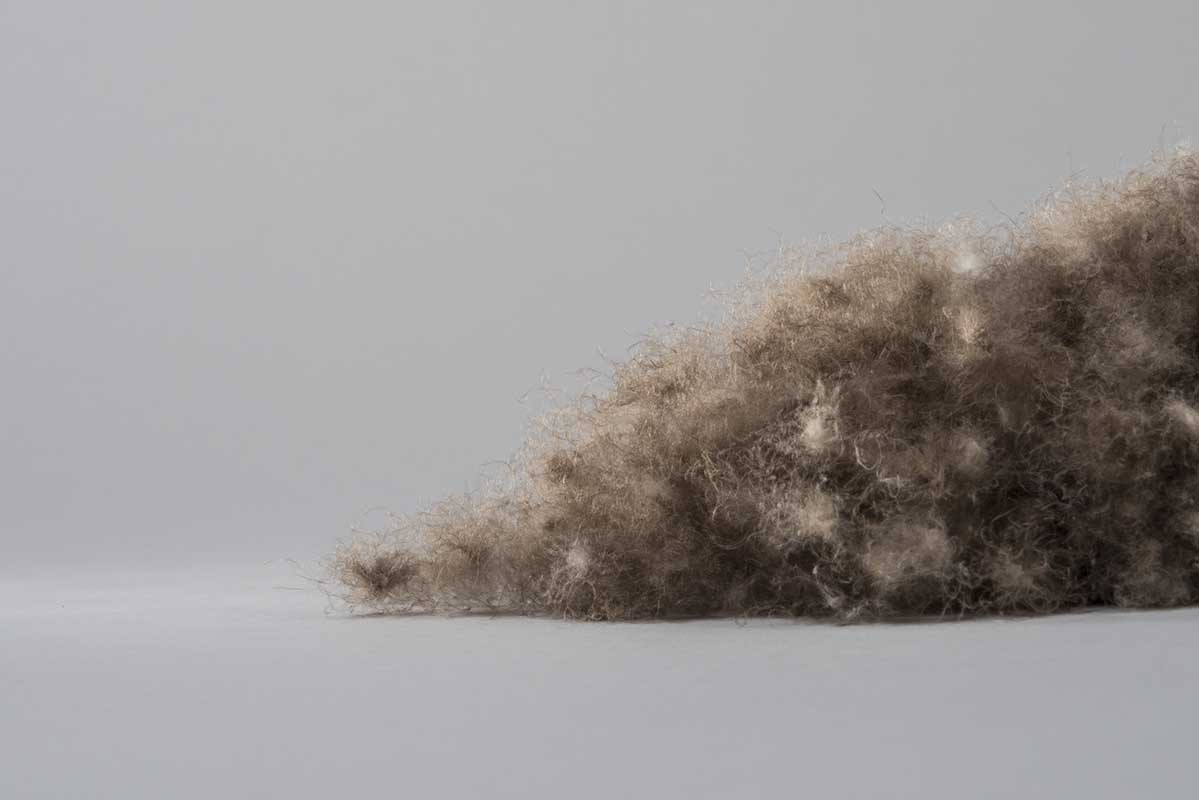 Гагачий пух