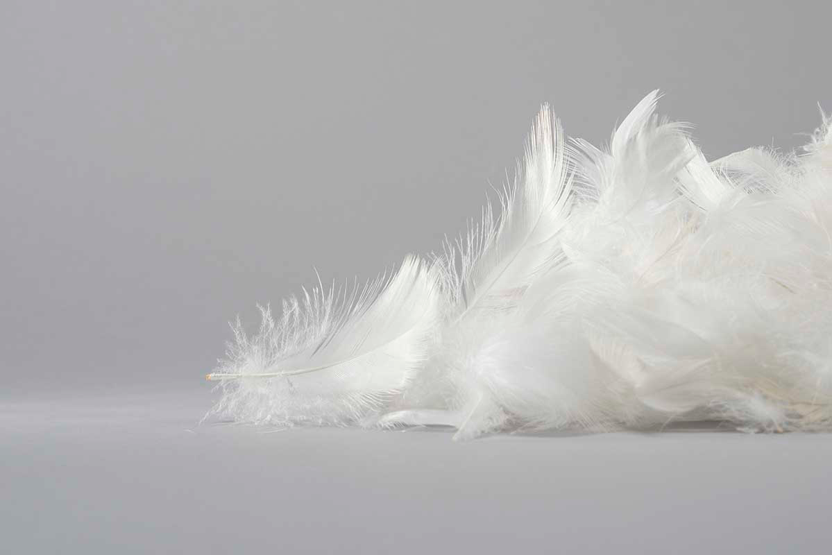 Пух перины Наполнитель перьевой перины